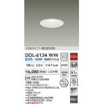 ダウンライト | 大光電機(株)